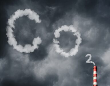 비엣비즈코리아