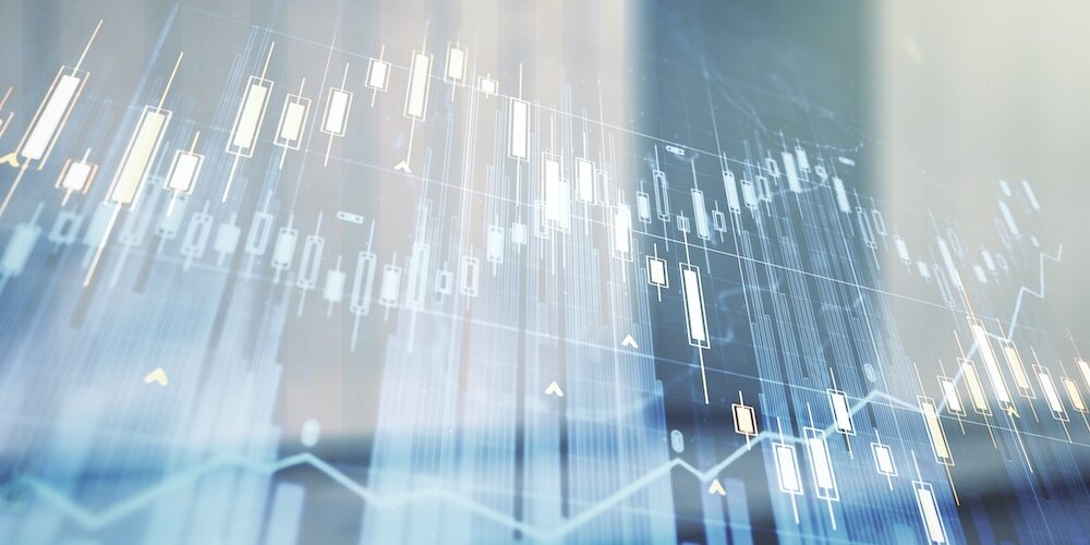 비엣비즈코리아