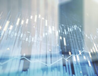 비엣비즈코리아