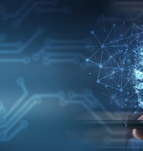 비엣비즈코리아