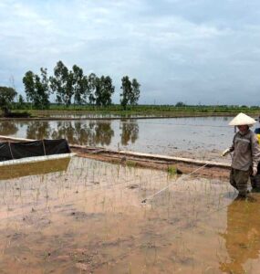 비엣비즈코리아