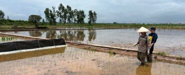 비엣비즈코리아