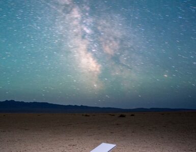 비엣비즈코리아