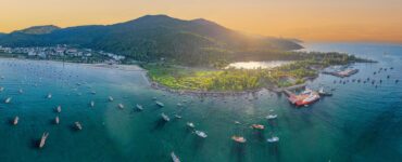 비엣비즈코리아