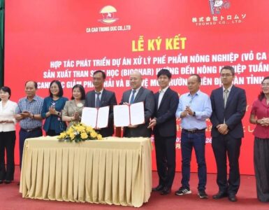 비엣비즈코리아