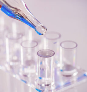 비엣비즈코리아