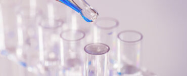 비엣비즈코리아