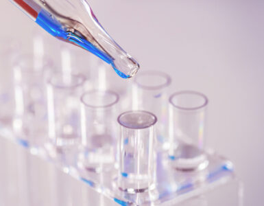 비엣비즈코리아