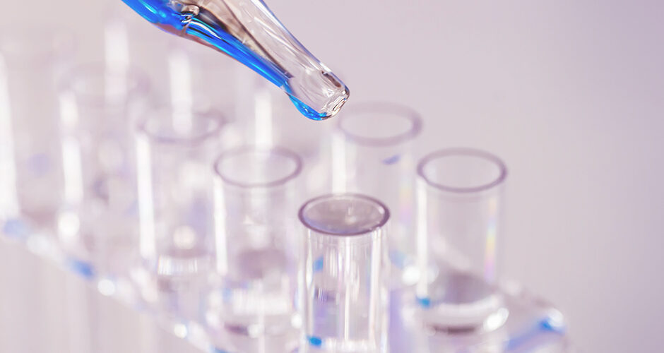 비엣비즈코리아