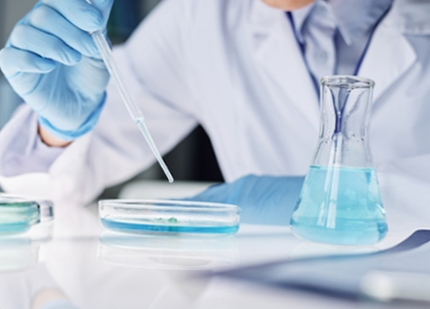 비엣비즈코리아