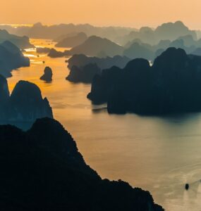 비엣비즈코리아