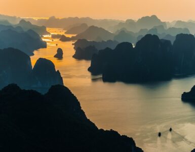 비엣비즈코리아