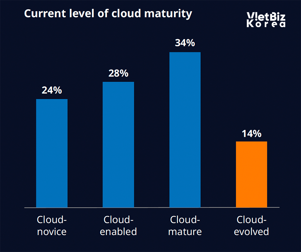 비엣비즈코리아