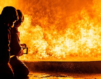 비엣비즈코리아