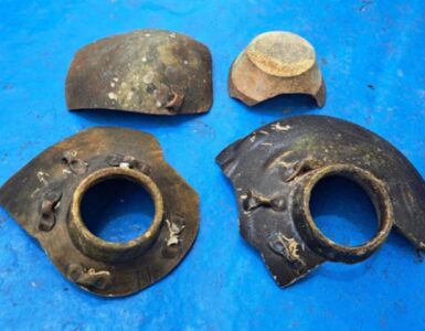 비엣비즈코리아