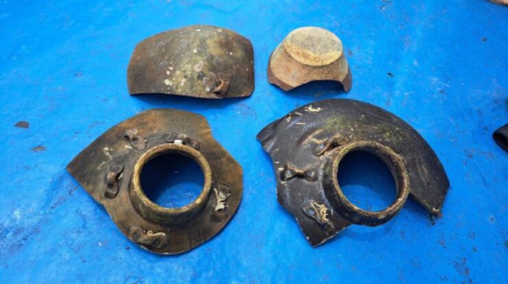 비엣비즈코리아