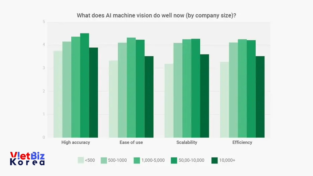 비엣비즈코리아