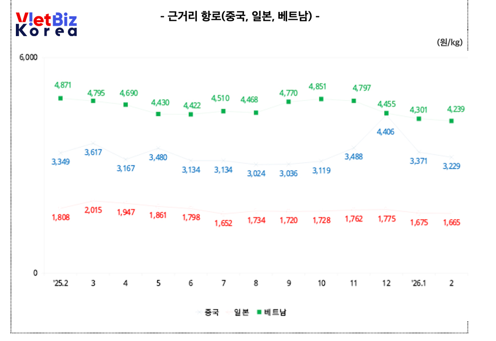 비엣비즈코리아