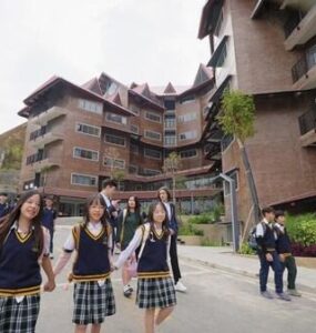 비엣비즈코리아