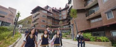 비엣비즈코리아