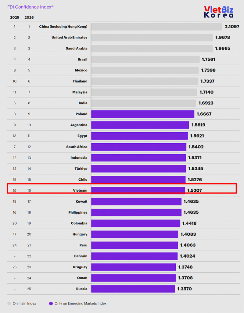 비엣비즈코리아