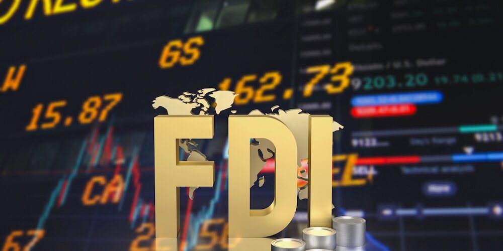 비엣비즈코리아