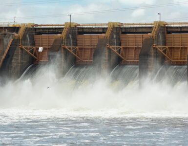 비엣비즈코리아